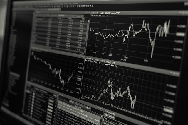 hybrid mutual fund